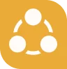 Organização